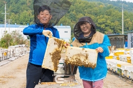 경남도, 양봉산업 안정화를 위한 지원 강화