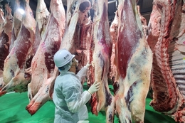 경남도, 추석 앞두고 축산물 안전 집중 관리