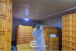 부산시, 겨울철 다소비식품 특별 수사 실시