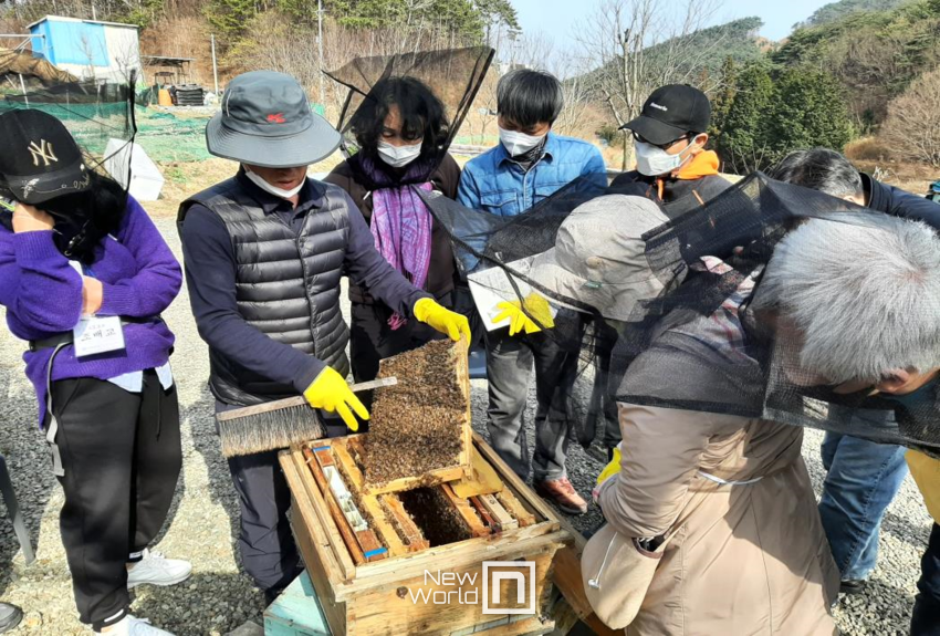 지난 2022년 산업곤충 양봉과정 교육 사진/사진=부산시 제공