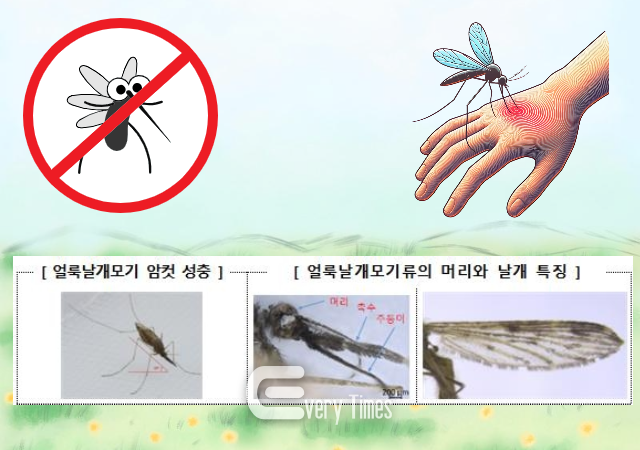 말라리아 의심 증상이 나타나면 즉시 의료기관을 방문해 치료받아야 한다. 적절한 치료를 받지 않으면 재발할 수 있으므로 처방에 따라 치료제를 모두 복용해야 한다.