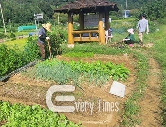 부산시 공영텃밭(제공=부산시)