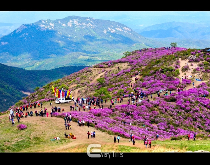 합천 황매산(제공=경남도)