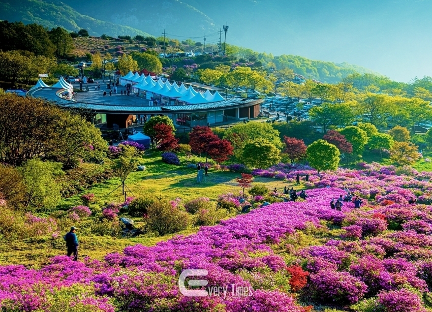 합천 황매산(제공=경남도)