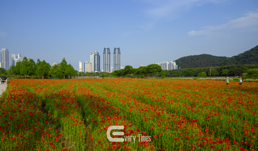 태화강 국가정원 봄꽃축제(제공=울산시)