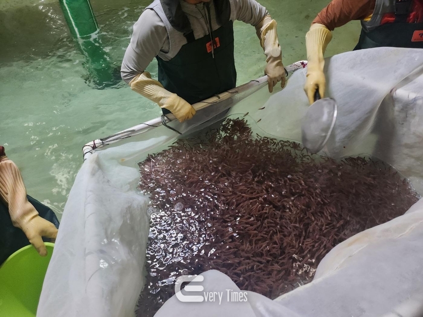 벤자리 분양준비 장명(제공=경남도)